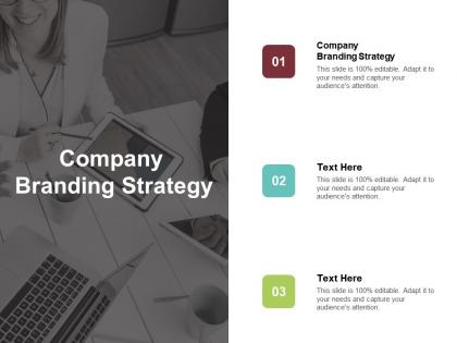 Company branding strategy ppt powerpoint presentation file design templates cpb