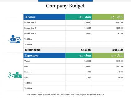 Company budget expenses income ppt powerpoint presentation outline graphics download