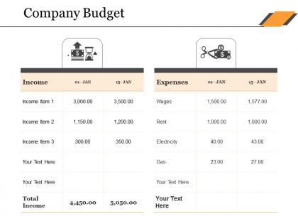Company budget ppt sample