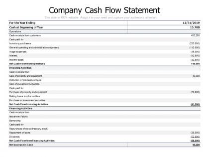 Company cash flow statement