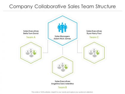 Company collaborative sales team structure