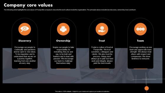 Company Core Values Marketing Analytics Company Profile CP SS V