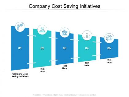 Company cost saving initiatives ppt powerpoint presentation show visuals cpb