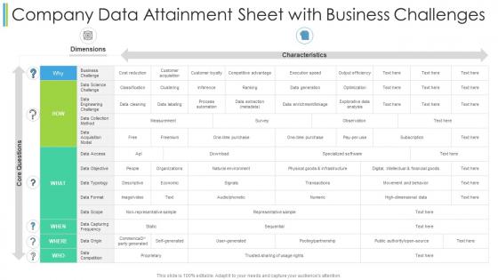 Company data attainment sheet with business challenges