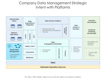 Company data management strategic intent with platforms