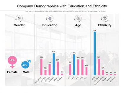 Company demographics with education and ethnicity