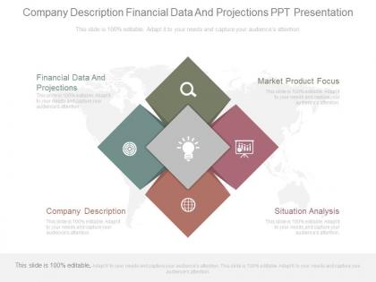 Company description financial data and projections ppt presentation