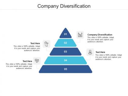 Company diversification ppt powerpoint presentation portfolio deck cpb