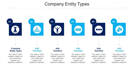 Company Entity Types Ppt Powerpoint Presentation Professional Shapes Cpb