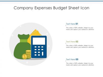 Company expenses budget sheet icon