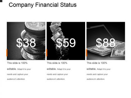 Company financial status example ppt presentation