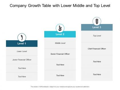 Company growth table with lower middle and top level