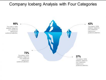 Company iceberg analysis with four categories