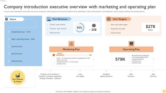 Company Introduction Executive Overview With Marketing And Operating Plan