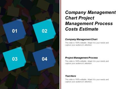 Company management chart project management process costs estimate cpb