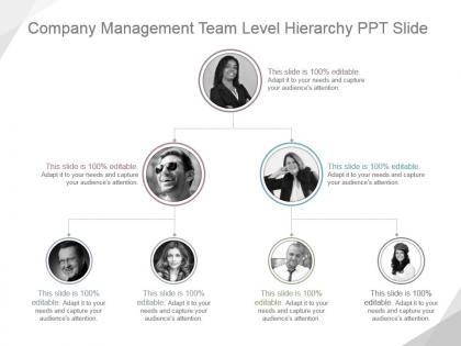 Company management team level hierarchy ppt slide