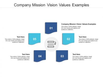 Company mission vision values examples ppt powerpoint presentation pictures graphics cpb