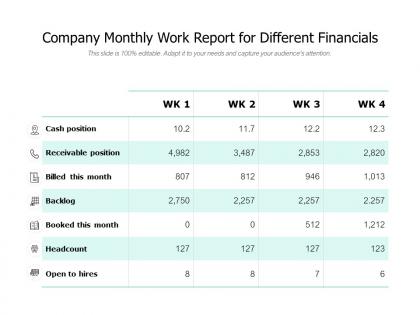 Company monthly work report for different financials