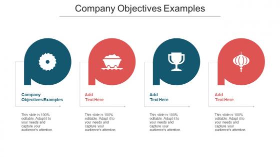 Company Objectives Examples Ppt Powerpoint Presentation Summary Cpb