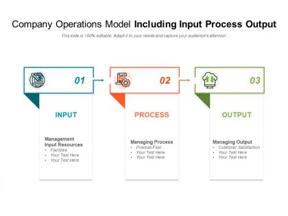 Company operations model including input process output