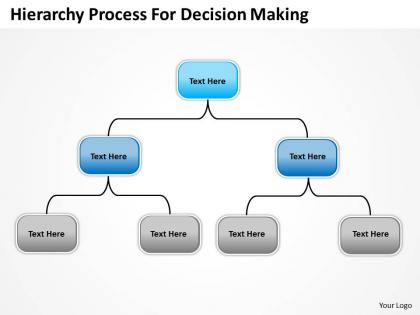 Company organization charts hierarchy process for decision making powerpoint templates 0515