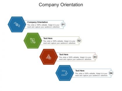 Company orientation ppt powerpoint presentation ideas graphic images cpb