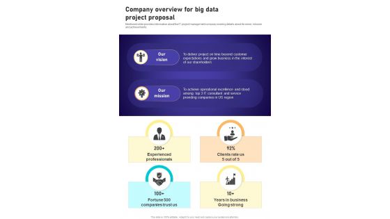Company Overview For Big Data Project Proposal One Pager Sample Example Document