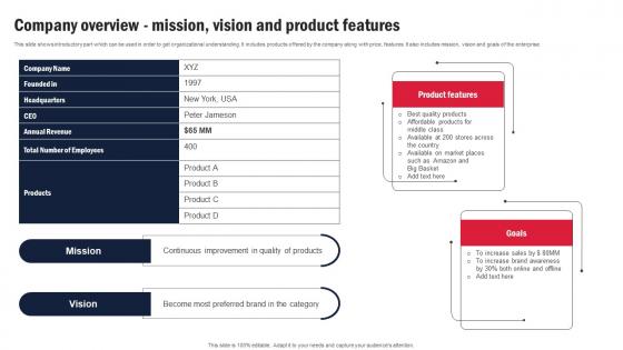 Company Overview Mission Vision And Product Features Channel Partner Program Strategy SS V