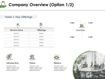 Company overview option offerings ppt powerpoint presentation professional