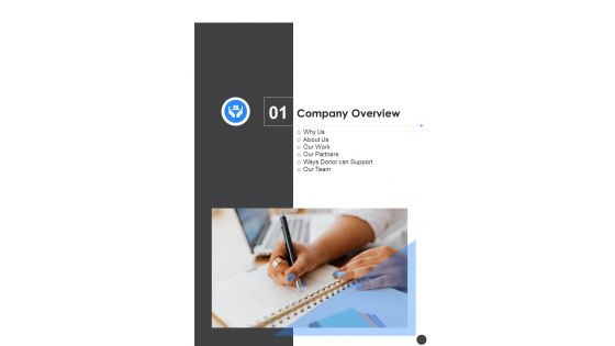 Company Overview Public Support Service Proposal One Pager Sample Example Document