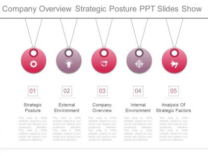 Company overview strategic posture ppt slides show