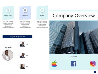 Company overview synergy in business ppt sample