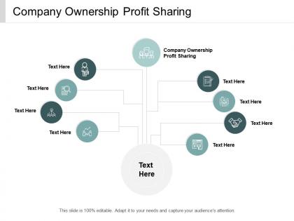 Company ownership profit sharing ppt powerpoint presentation infographic template objects cpb