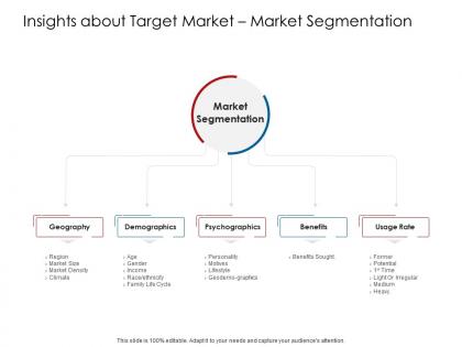 Company playbook insights about target market segmentation ppt powerpoint presentation summary icon