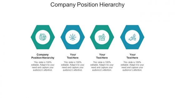 Company position hierarchy ppt powerpoint presentation show layout cpb
