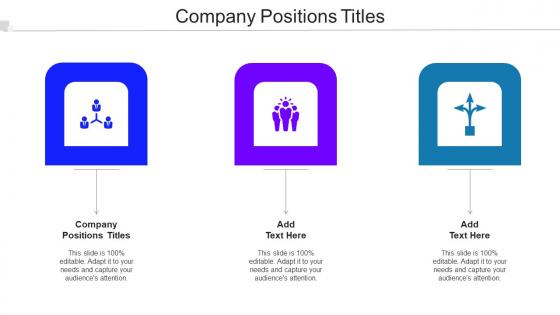 Company Positions Titles Ppt Powerpoint Presentation Styles Gridlines Cpb