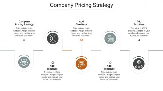 Company Pricing Strategy In Powerpoint And Google Slides Cpb