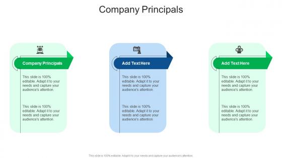 Company Principals In Powerpoint And Google Slides Cpb