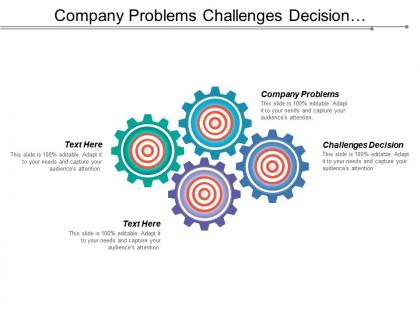 Company problems challenges decision international edition profit relationships