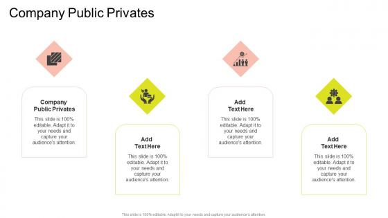 Company Public Privates In Powerpoint And Google Slides Cpb