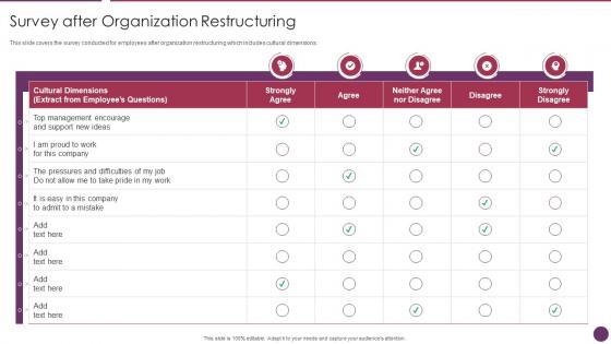 Company Reorganization Process Survey After Organization Restructuring