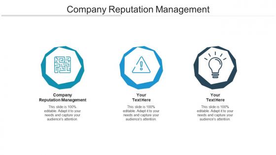 Company reputation management ppt powerpoint presentation infographic template cpb