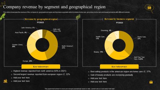 Company revenue by segment and geographical region food and beverage company profile