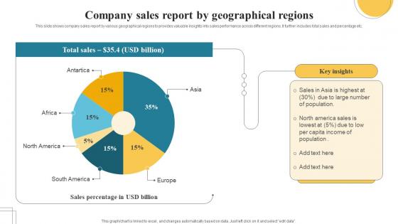 Company Sales Report By Geographical Regions