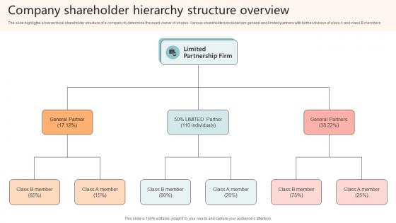Company Shareholder Hierarchy Structure Overview