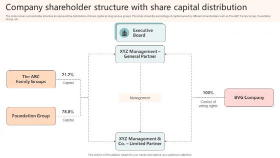 Company Shareholder Structure With Share Capital Distribution