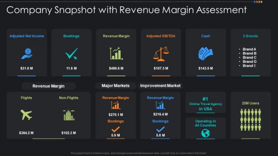 Company Snapshot With Revenue Margin Assessment