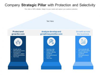 Company strategic pillar with protection and selectivity