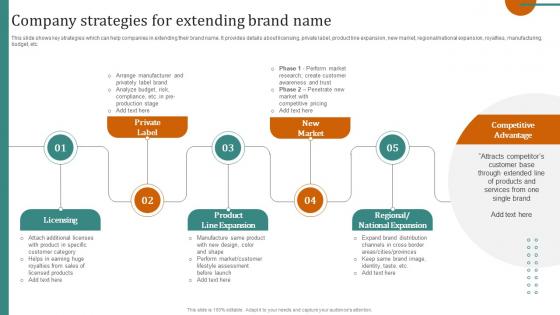 Company Strategies For Extending Brand Name Launching New Products Through Product Line Expansion