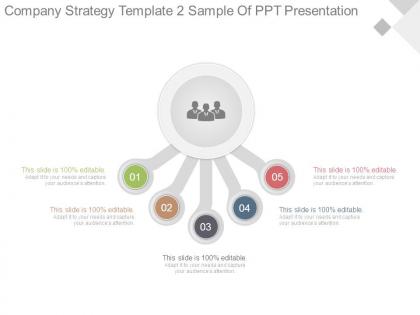 Company strategy template2 sample of ppt presentation